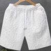 Shorts Décontractés d’Été pour Hommes