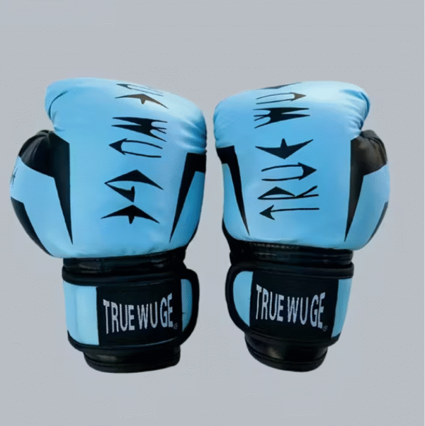 Paire de Gants de Boxe d’Entraînement