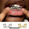 Grillz Intégral Plaqué-Or & Argent