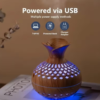 Diffuseur d'Aromathérapie en Bois Élégant avec Éclairage LED 7 Couleurs – Image 2