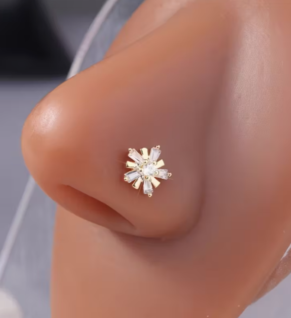 Anneau de Nez HITIZZY
