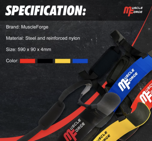 Arm Blaster Isolateur de Biceps Professionnel en Acier