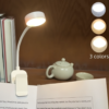Lampe de Lecture LED Réglable avec 3 Modes de Couleur