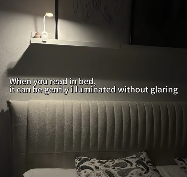 Lampe de Lecture LED Réglable avec 3 Modes de Couleur