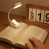 Lampe de Lecture LED Réglable avec 3 Modes de Couleur