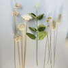Set de Tiges Diffuseurs Élégantes pour Décoration de Fête et Mariage