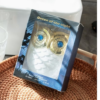 Rectangle 1010 (1) Eau de Parfum « Reine des Nuits » 100ml – Fragrance Envoûtante Longue Tenue avec Flacon Artistique en Forme de Hibou et Boîte Cadeau