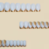 Faux Ongles Press-On Carrés Style Français avec Feuille Dorée – Kit de 24 Pièces Réutilisables pour le Travail et Occasions Formelles