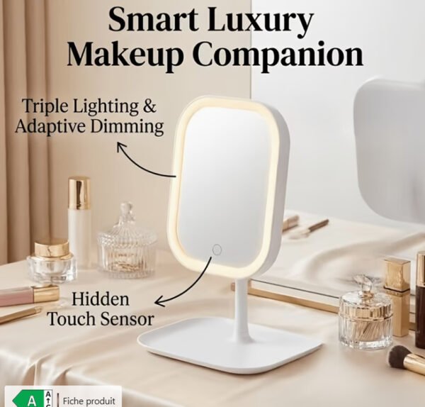 Rectangle 889 Miroir de Cosmétique LED Intelligent – Lumière Douce Tricolore, Gradation