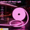 Bande Lumineuse LED Néon Rose Premium – Gaine Silicone Flexible