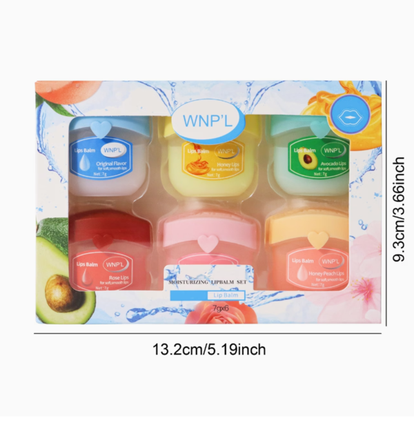 Coffret Cadeau 6 Baumes à Lèvres Fruités – Soin Hydratant, Nourrissant et Incolore pour Homme et Femme