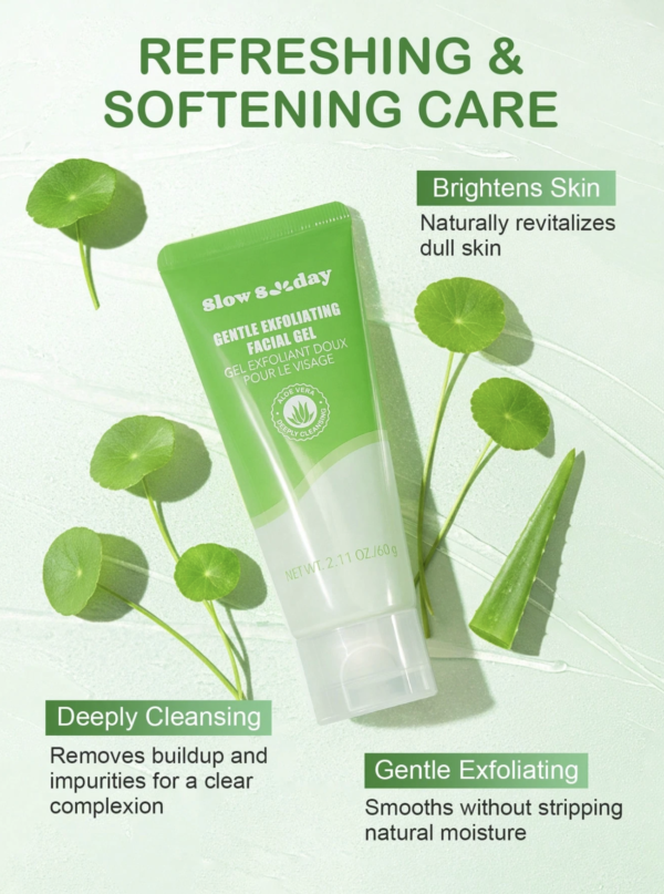 Capture d’écran 2026-09-06 à 17.24.59 SlowSunday Gel Exfoliant Doux Visage – Gommage Botanique Aloe Vera & Centella Asiatica K-Beauty