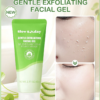 Capture d’écran 2026-09-06 à 17.25.17 SlowSunday Gel Exfoliant Doux Visage – Gommage Botanique Aloe Vera & Centella Asiatica K-Beauty