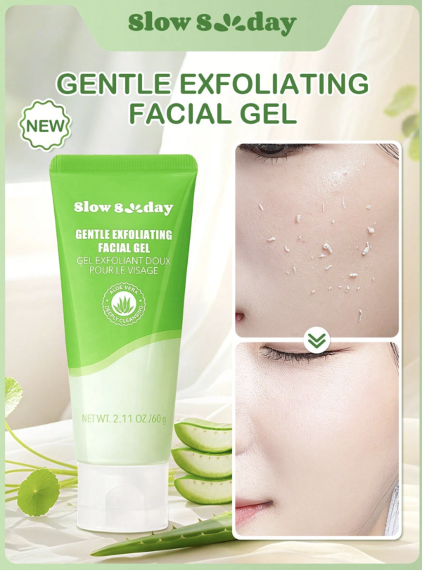 Capture d’écran 2026-09-06 à 17.25.17 SlowSunday Gel Exfoliant Doux Visage – Gommage Botanique Aloe Vera & Centella Asiatica K-Beauty